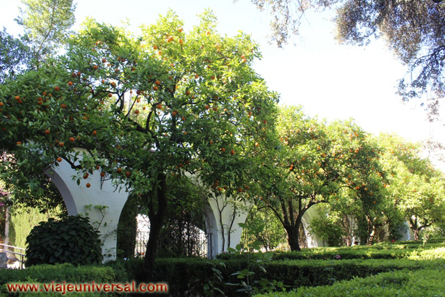 Jardín Palacio Viana